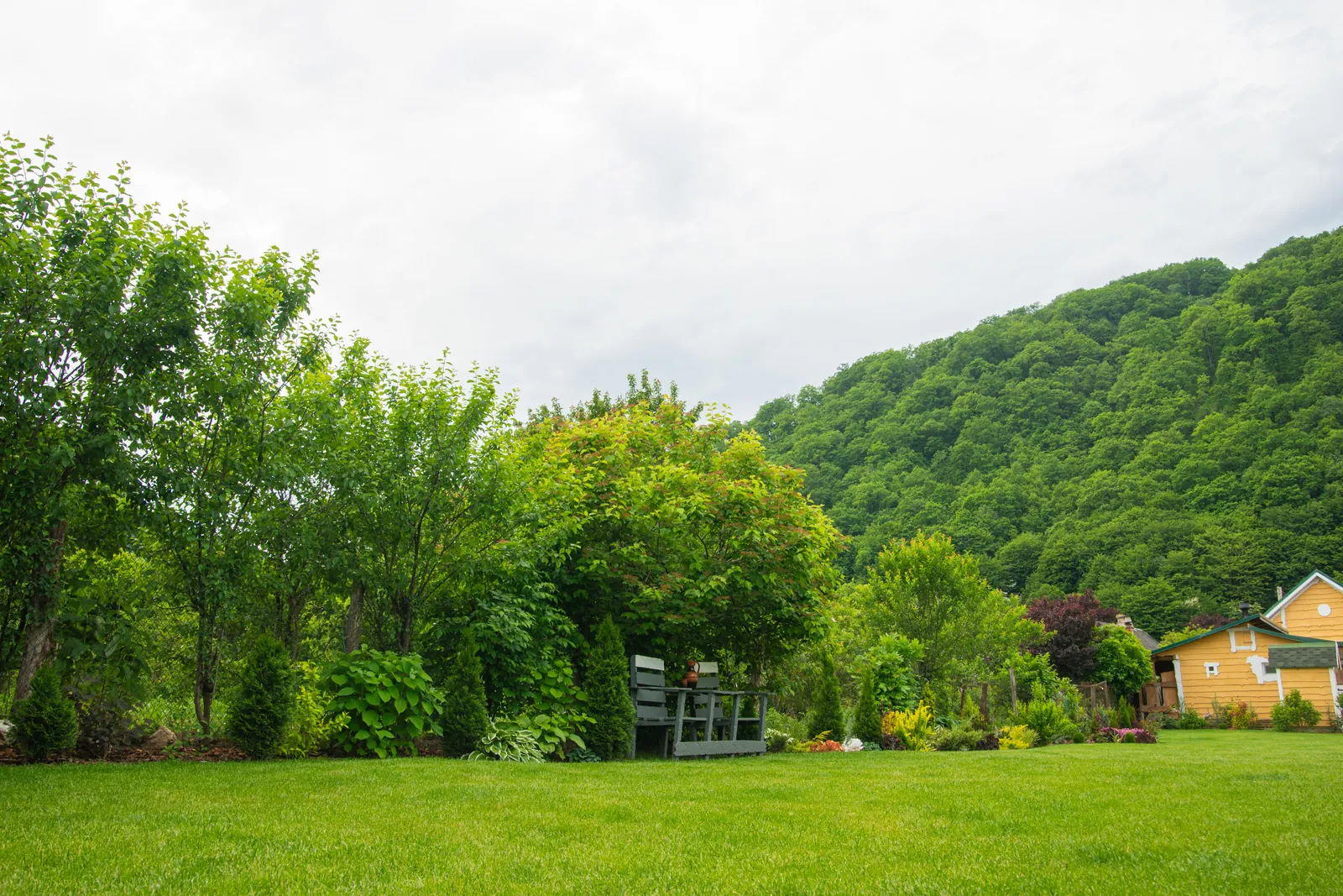 Территория